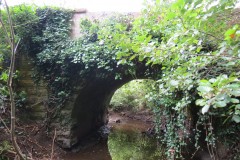 9.-Frog-Street-accommodation-bridge-south-upstream-arch