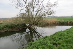 1.-Fivehead-River-join