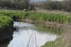 11.-Upstream-from-the-hatch-House-3
