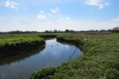 11.-Upstream-from-the-hatch-House-4