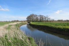 11.-Upstream-from-the-hatch-House-5