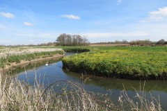 11.-Upstream-from-the-hatch-House-7