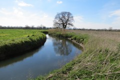 11.-Upstream-from-the-hatch-House-8