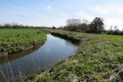 12.-Downstream-from-Isle-Brewers-10