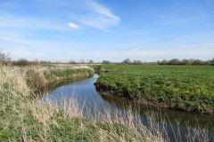 12.-Downstream-from-Isle-Brewers-11