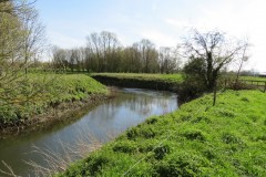 12.-Downstream-from-Isle-Brewers-12