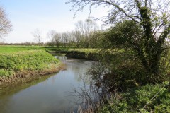 12.-Downstream-from-Isle-Brewers-13