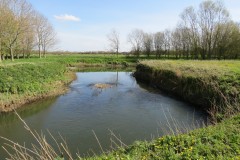 12.-Downstream-from-Isle-Brewers-15