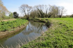 12.-Downstream-from-Isle-Brewers-17