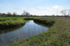 12.-Downstream-from-Isle-Brewers-2
