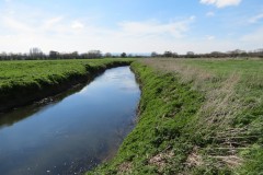 12.-Downstream-from-Isle-Brewers-3