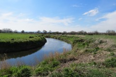 12.-Downstream-from-Isle-Brewers-5