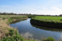 12.-Downstream-from-Isle-Brewers-6