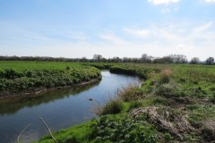 12.-Downstream-from-Isle-Brewers-7