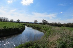 12.-Downstream-from-Isle-Brewers-8