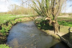 16.Looking-upstream-from-Isle-Brewers-Bridge