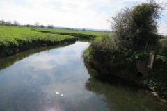 17.Looking-upstream-from-Isle-Brewers-Bridge