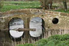 18.-Isle-Brewers-Bridge-Downstream-Arches-4