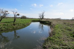2a.-Upstream-from-Fivehead-River-join-1