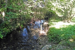 1.-Downstream-from-Huish-Bridge