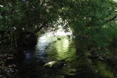 10.-Downstream-from-Huish-Bridge