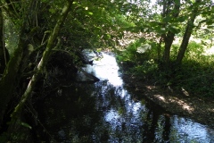 12.-Upstream-from-Tuck-Mill