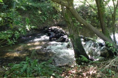 19.-Tuck-Mill-upper-weir