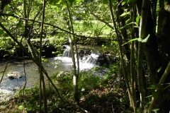 2.-Watercombe-Weir