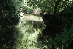 20.-Downstream-from-Tuck-Mill-upper-weir