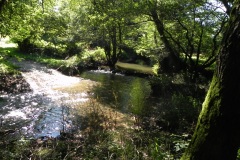 21.-Tuck-Mill-ford