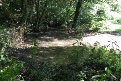 24.-Downstream-from-Tuck-Mill-lower-weir