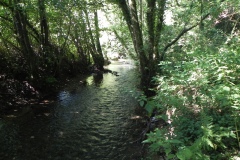 25.-Looking-upstream-from-Tuck-Mill-ROW-footbridge
