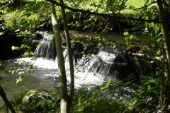 3.-Watercombe-Weir
