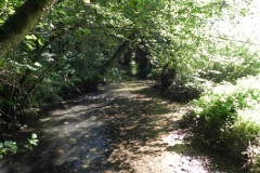 30.-Looking-downstream-from-Tuck-Mill-ROW-footbridge