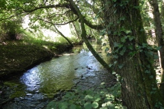 31.-Downstream-from-Tuck-Mill