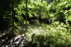 32.-Downstream-from-Tuck-Mill