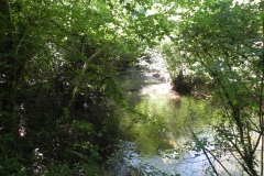 34.-Downstream-from-Tuck-Mill