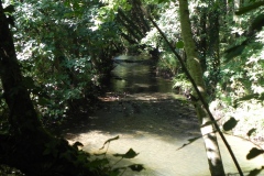 35.-Downstream-from-Tuck-Mill