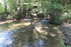 36.-Looking-upstream-from-Tuck-Mill-Copse-footbridge