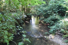 38.-Looking-downstream-from-Tuck-Mill-Copse-footbridge