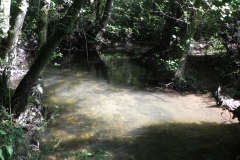 39.-Downstream-from-Tuck-Mill