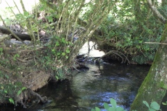 4.-Downstream-from-Huish-Bridge