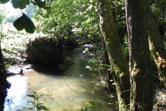 40.-Downstream-from-Tuck-Mill
