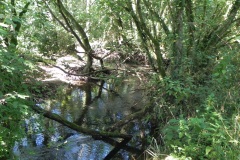 41.-Downstream-from-Tuck-Mill