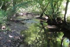 42.-Downstream-from-Tuck-Mill