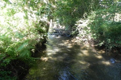 43.-Upstream-from-The-Barton-Footbridge