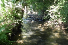 43a.-Upstream-from-The-Barton-Footbridge