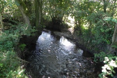 48.-Downstream-from-The-Barton-Footbridge
