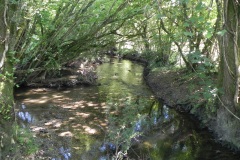49.-Downstream-from-The-Barton-Footbridge