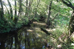 50.-Downstream-from-The-Barton-Footbridge